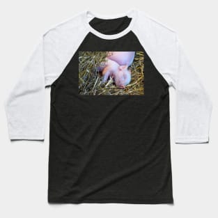 Piglet Nap Baseball T-Shirt